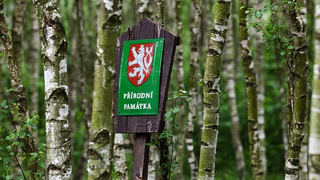 Pírodní památka Na Placht v Hradci Králové.