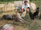 Chovatel Petr Dobrý se svými kachními mazlíky