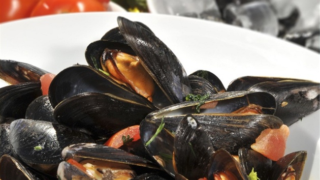 Mu�le s tomaty, �esnekem, smetanou a provensálským ko�ením