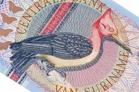Detail surinamsk bankovky