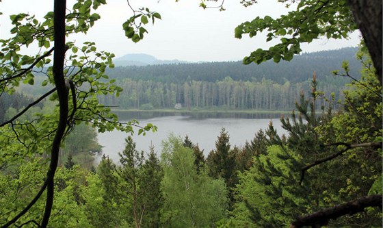 Velký rybník u obce Karlovka na Českolipsku
