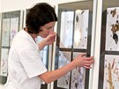 Zdravotní ústav v Ústí nad Labem pipravil výstavu makrofotografií pylových zrn