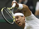 PODÁNÍ. Rafael Nadal podává v utkání prvního kola Wimbledonu.