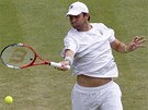 DER. Americk tenista Mardy Fish ve Wimbledonu.