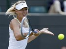 DÁL. Maria arapovová si ve Wimbledonu zahraje v osmifinále.