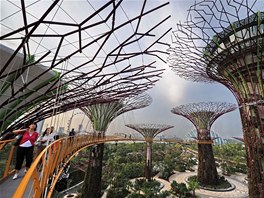 V Singapuru postavili nové visuté zahrady Semiramidiny. Osmnáct gigantických...