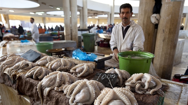 Chobotnice na triti v tuniském pístavu Sfax