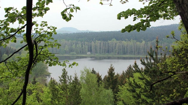 Velký rybník u obce Karlovka na eskolipsku