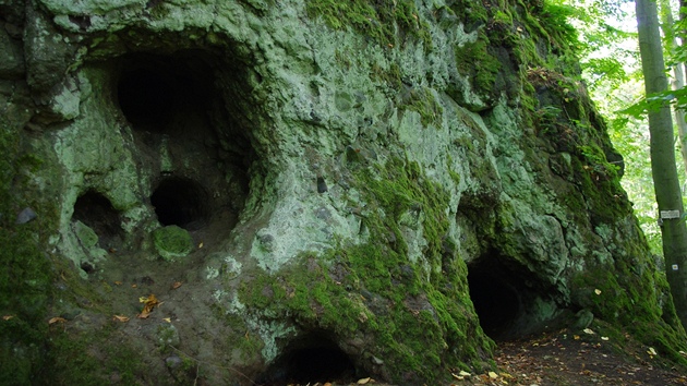 Trpasličí jeskyně (Skalky skřítků) představují dutiny po vyhnilých kmenech...