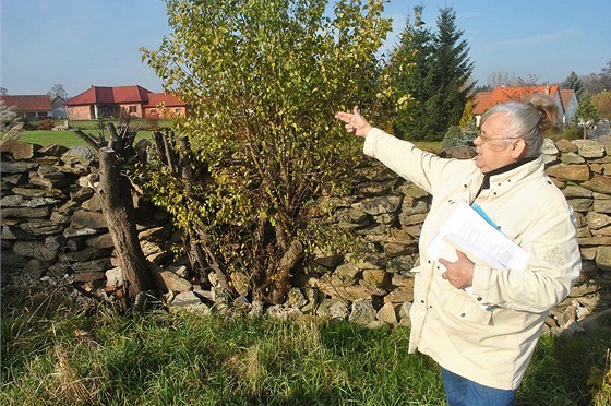 Dv rodiny bojují o pozemek. Neváhají pistoupit k tomu, e zbourají plot bagrem.