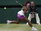 DLOVÝ BEKHEND. Serena Williamsová si pipisuje dalí úspný úder ve finále