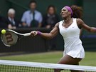NA SÍTI. Amerianka Serena Williamsová vítzí v dalí výmn duelu s Agnieszkou