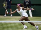 PESNÁ PRÁCE. Serena Williamsová si v souboji o wimbledonský titul dola pro