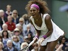 PRO? Po zkaeném míku ve wimbledonském finále si zoufá Serena Williamsová.