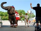 Ve své nové reklam vsadil Vodafone na slona.