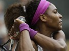 COPAK VYHLÍÍ? Serena Williamsová ve wimbledonském finále.