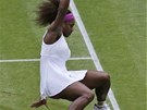 NA TRÁV. Serena Williamsová se ve wimbledonském finále nevyhla nepíjemnému