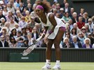 TO NENÍ MONÝ. Serena Williamsová se na sebe zlobí po jednom z nepovedených