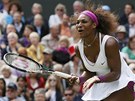 CO TO DLÁM? Serena Williamsová se na sebe zlobí po jednom z nepovedených úder.