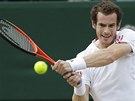 KONCENTRACE. Andy Murray se soustedí na úder ve wimbledonském finále proti...