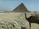 Velbloudy si v Egypt radji moc nefote, pokud vás uvidí jeho majitel, bude za
