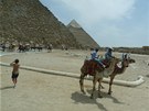 Vodii velbloud u pyramid v Gíze íhají na turisty.