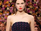 Raf Simons, Dior Haute Couture podzim - zima 2012/2013