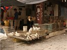 Obchod s ivými zvíaty pipravené k poráce v Suzhou (ína), srpen 2011.