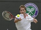 Florian Mayer z Nmecka postoupil do tvrtfinále Wimbledonu, tam mu vak stopku
