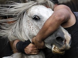 Festival krocení koní Rapa das Bestas ve panlsku