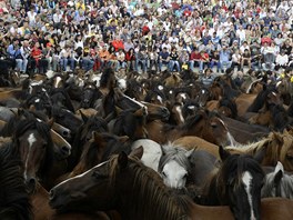 Festival krocení koní Rapa das Bestas ve panlsku