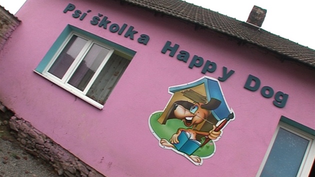 kolka Happy Dog