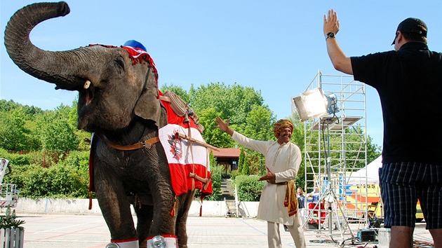 Ve své nové reklamě vsadil Vodafone na slona.