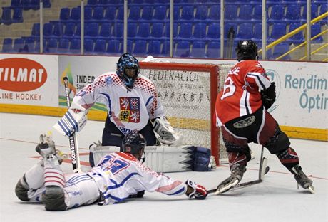 Momentka z utkání mistrovství svta organizace FIRS v in-line hokeji mezi