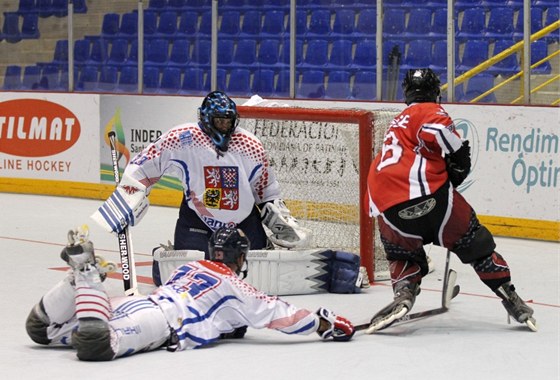 Momentka z utkání mistrovství světa organizace FIRS v in-line hokeji mezi