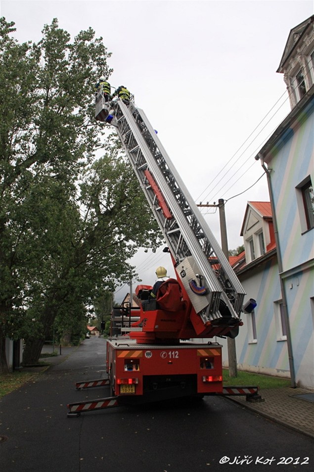 Hasii postupn od vrchních ástí stromu odezávali vtve a potom kmen. Po