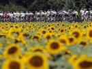 SLUNENICE. Cyklisté bhem tinácté etapy Tour de France