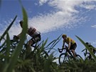 Cyklista Bradley Wiggins si ve 12. etap Tour de France udrel lutý dres.