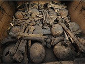 Teologové a antropologové vyzdvihli z hrobu v kostele Panny Marie Snné
