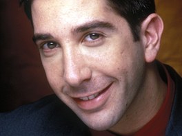 David Schwimmer jako Ross Geller (1995)