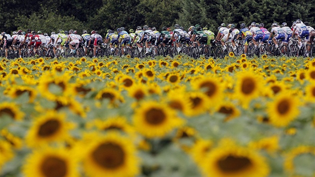 SLUNENICE. Cyklisté bhem tinácté etapy Tour de France