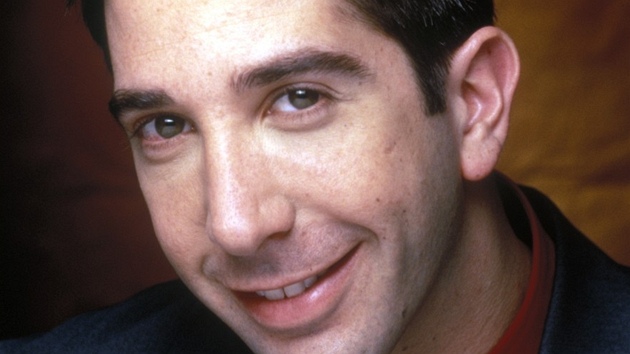 David Schwimmer jako Ross Geller (1995)