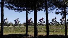 Peloton na Tour de France v prbhu 15. etapy.