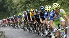 cyklistický peloton v prbhu 17. etapy Tour de France