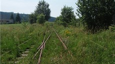 Neudrované koleje z Dobronína do Polné zarstají.