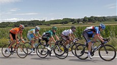 V rámci dvanácté etapy Tour de France ujela pelotonu ptice jezdc.