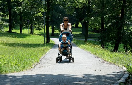 Procházku parkem by te mli Plzeané odloit. Kvli podmáené pd hrozí velké nebezpeí, e se velké stromy vyvrátí z koen. Ilustraní snímek