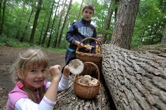 estiletá Sabina Reindlová se chlubí koíkem plným bedel, které nala její