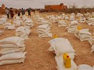 lovk v tísni celkem hladovjícím Somálcm poskytl 1450 tun potravin.