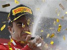 SPRCHA. Fernando Alonso slaví vítzství ve Velké cen Nmecka. 